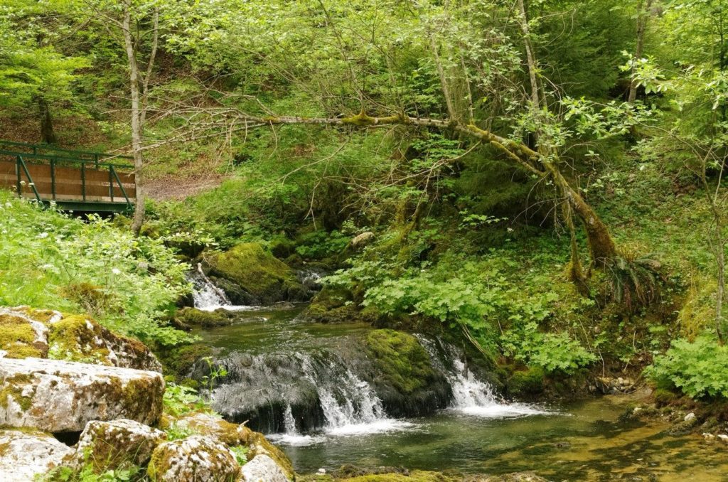 Le lac de Saint Point
